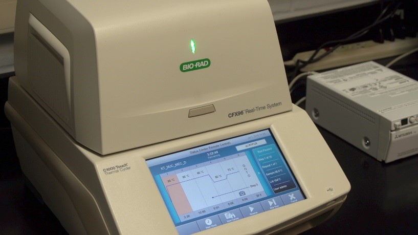 pcr 1