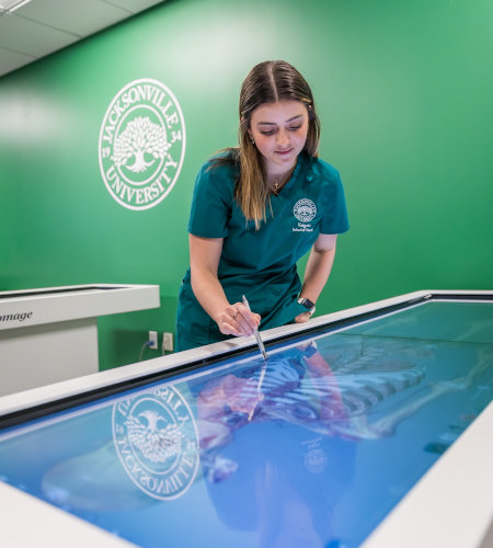 STEAM Institute student learing with an anatomage table